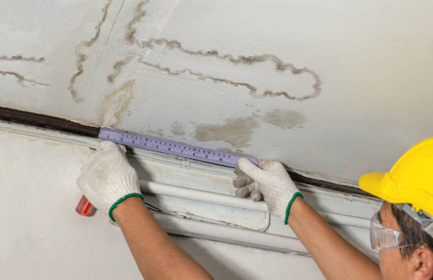 Reliable Mold Remediation contractor in Coolidge, TX by Water Damage Irwin